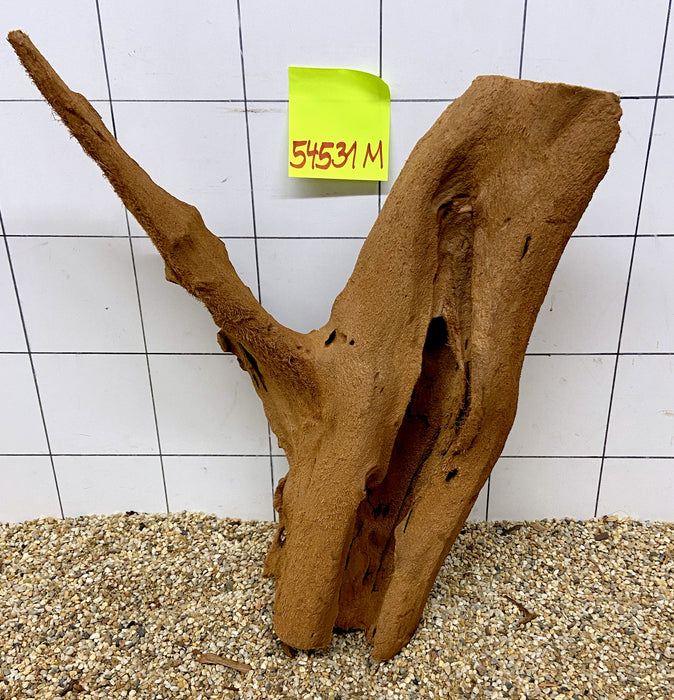 54531M - Mangrovenwurzel Holz