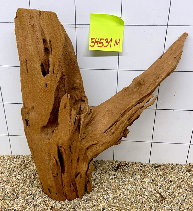54531M - Mangrovenwurzel Holz