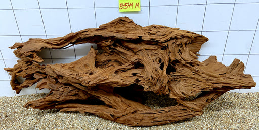 54541M - Mangrovenwurzel Holz XL