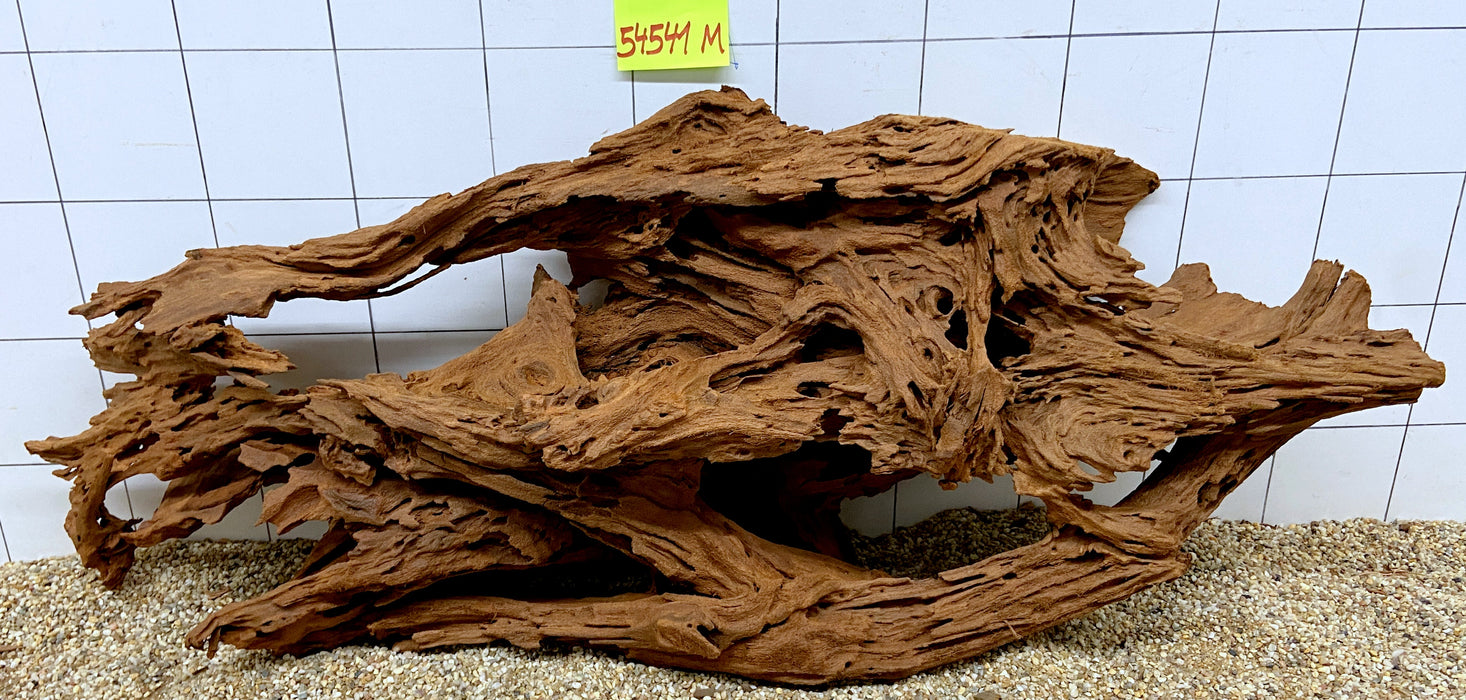 54541M - Mangrovenwurzel Holz XL