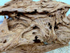 54541M - Mangrovenwurzel Holz XL
