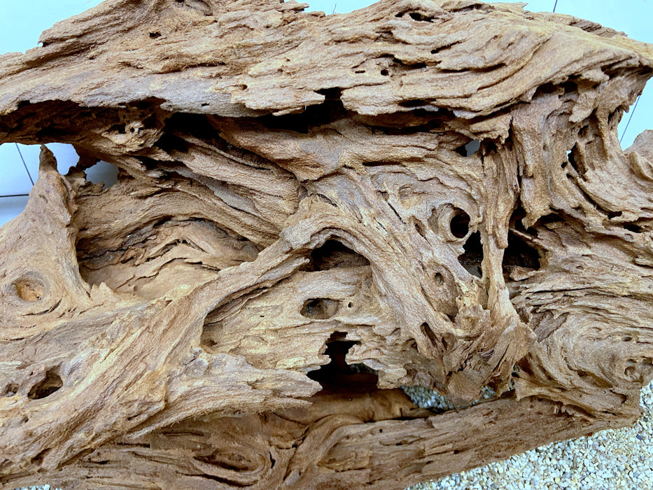 54541M - Mangrovenwurzel Holz XL