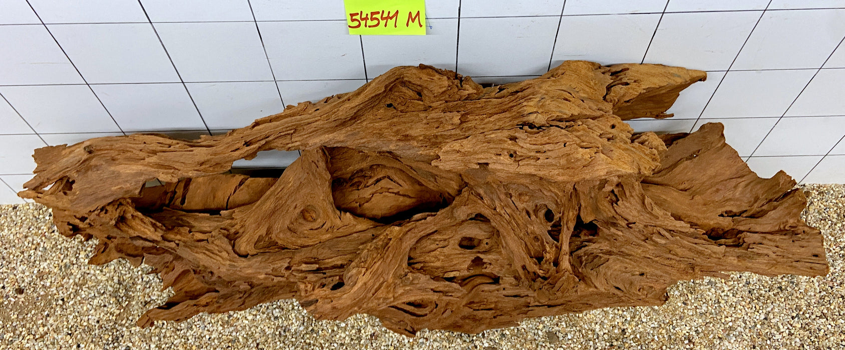 54541M - Mangrovenwurzel Holz XL