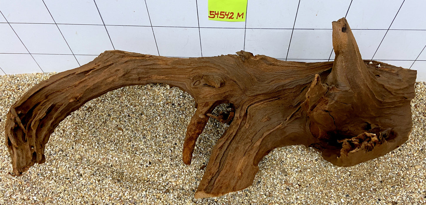 SONDERPREIS - 54542M - Mangrovenwurzel Holz XL