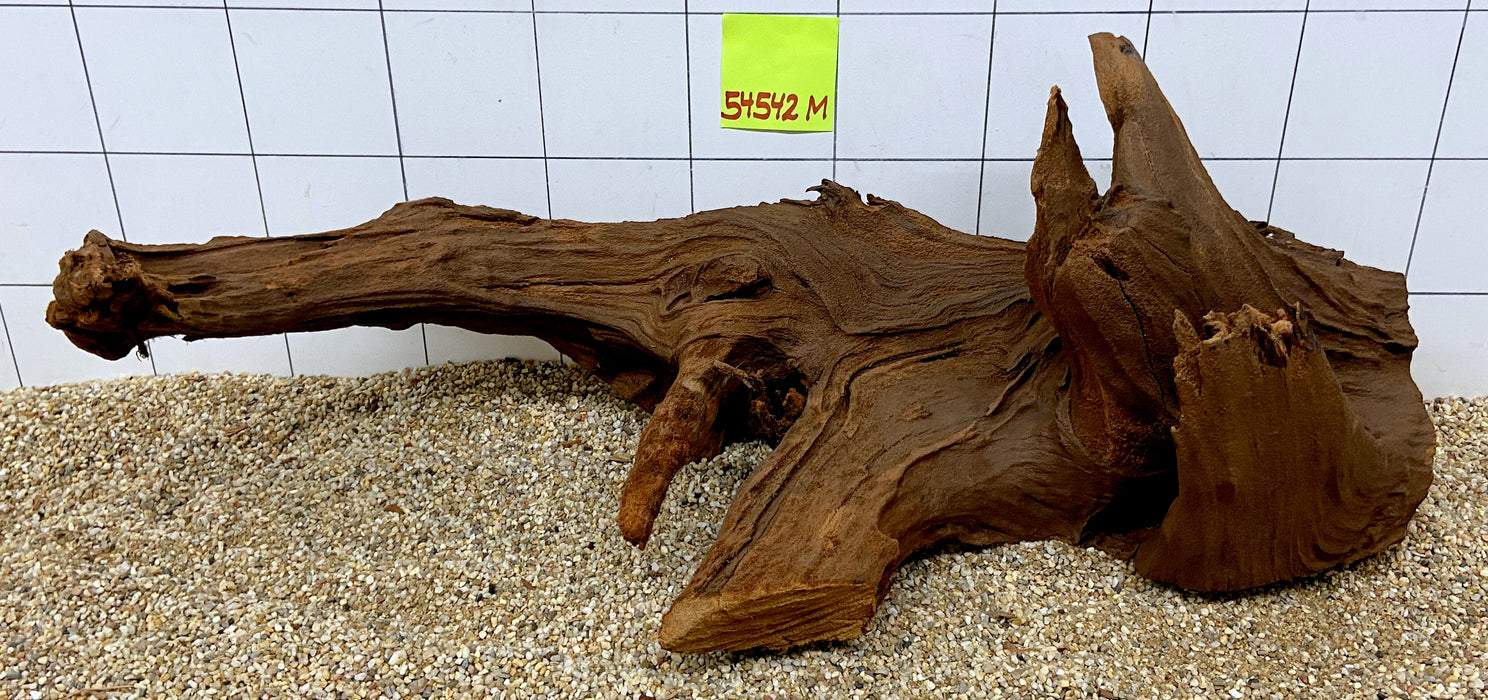 SONDERPREIS - 54542M - Mangrovenwurzel Holz XL