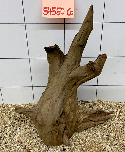 54550CO - Corbo Wurzel Holz