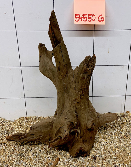 54550CO - Corbo Wurzel Holz