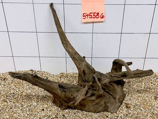 54558CO - Corbo Wurzel Holz