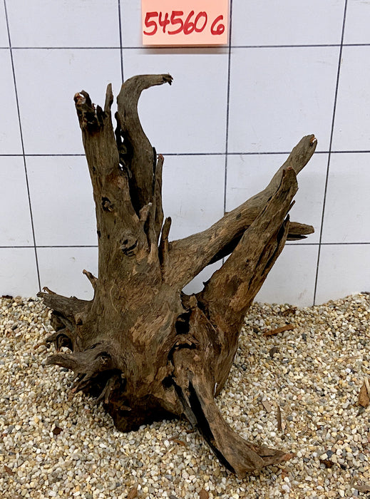 54560CO - Corbo Wurzel Holz