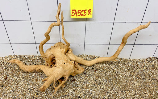 54565R Fingerwood / Rote Moorwurzel Holz