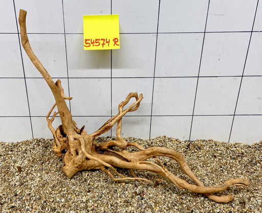 54574R Fingerwood / Rote Moorwurzel Holz