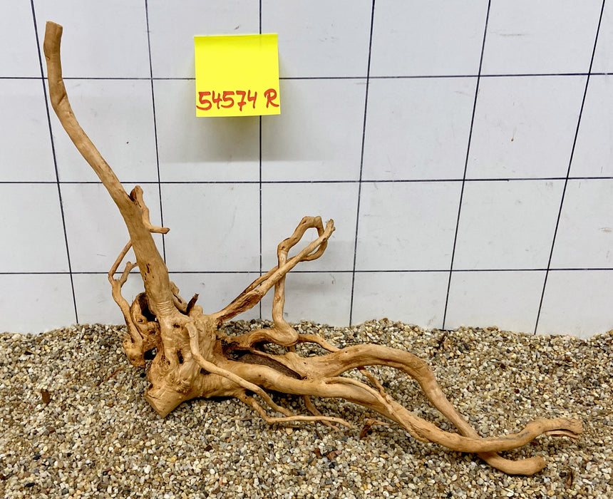 54574R Fingerwood / Rote Moorwurzel Holz