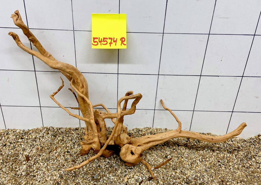 54574R Fingerwood / Rote Moorwurzel Holz