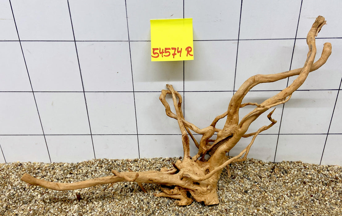 54574R Fingerwood / Rote Moorwurzel Holz