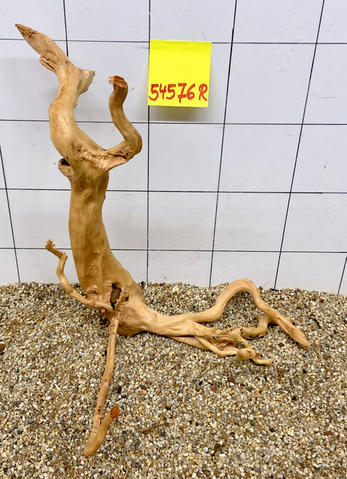 54576R Fingerwood / Rote Moorwurzel Holz