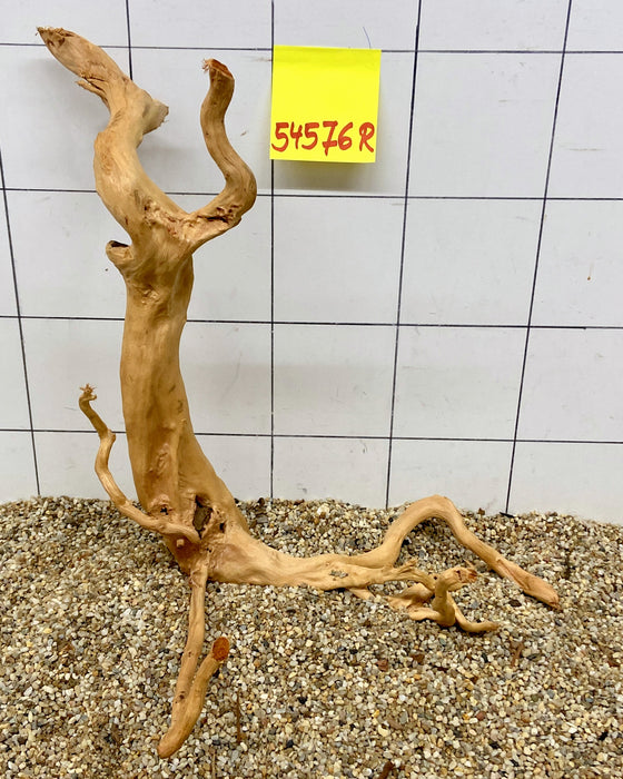 54576R Fingerwood / Rote Moorwurzel Holz