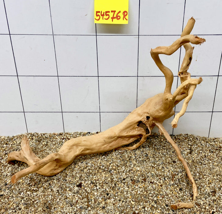 54576R Fingerwood / Rote Moorwurzel Holz