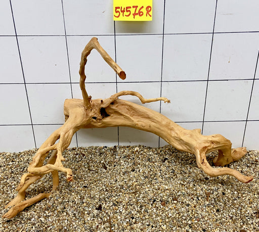 54576R Fingerwood / Rote Moorwurzel Holz