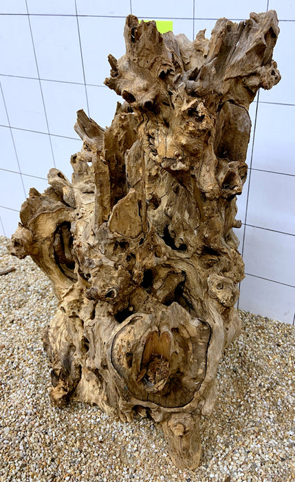 54600S Samoa Wurzel Holz XL