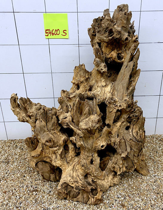 54600S Samoa Wurzel Holz XL