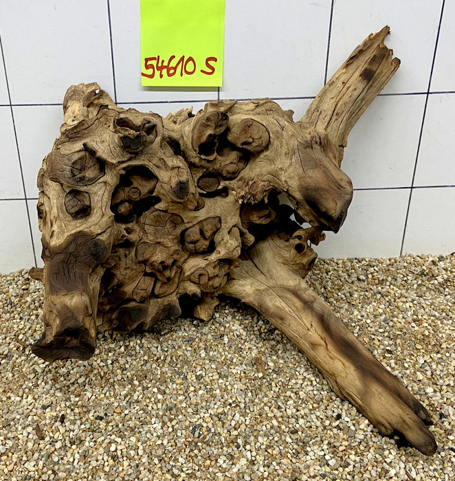 54610S Samoa Wurzel Holz