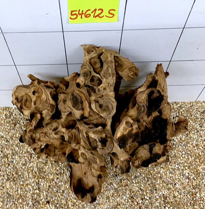 54612S Samoa Wurzel Holz