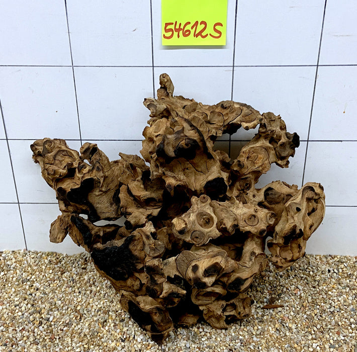 54612S Samoa Wurzel Holz