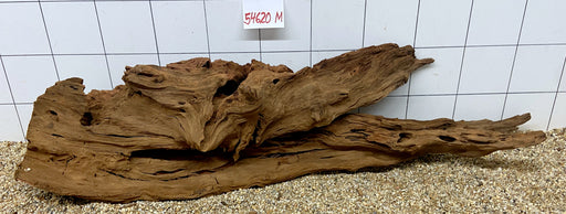 54620M - Mangrovenwurzel Holz XL