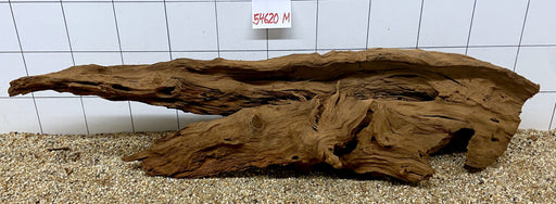 54620M - Mangrovenwurzel Holz XL