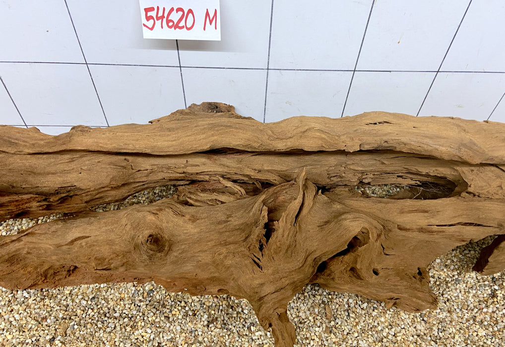 54620M - Mangrovenwurzel Holz XL