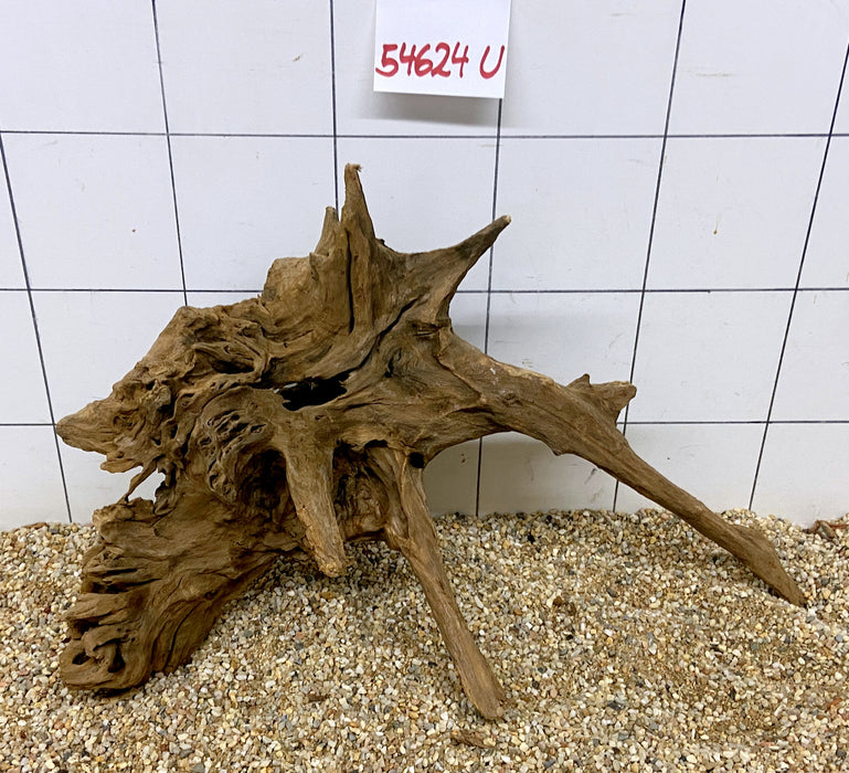 NEU - 54624U - Ubatuba Wurzel Holz