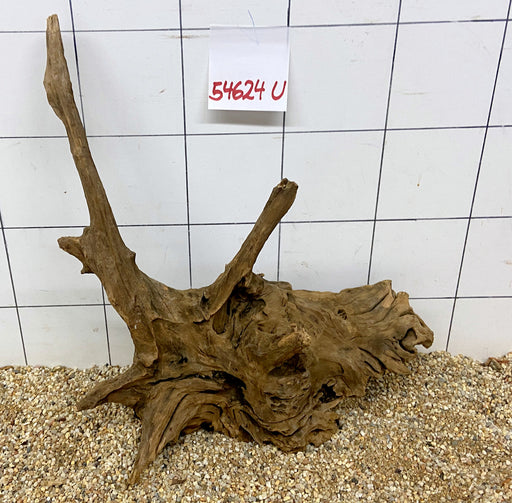 NEU - 54624U - Ubatuba Wurzel Holz