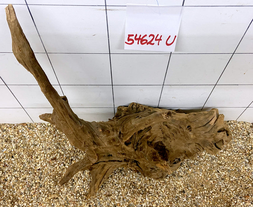 NEU - 54624U - Ubatuba Wurzel Holz