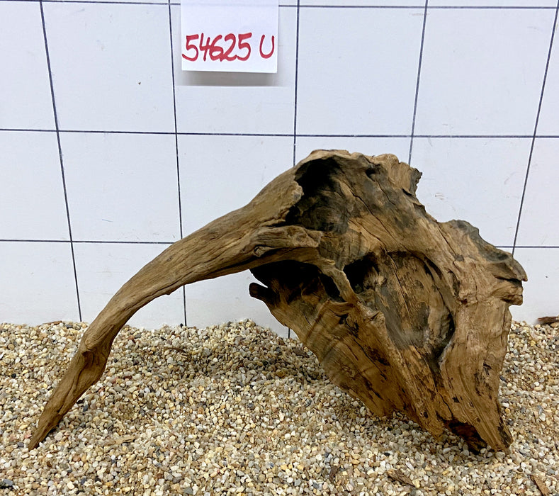 NEU - 54625U - Ubatuba Wurzel Holz