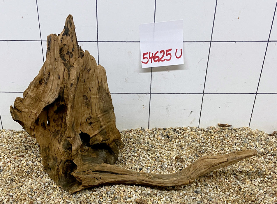 NEU - 54625U - Ubatuba Wurzel Holz