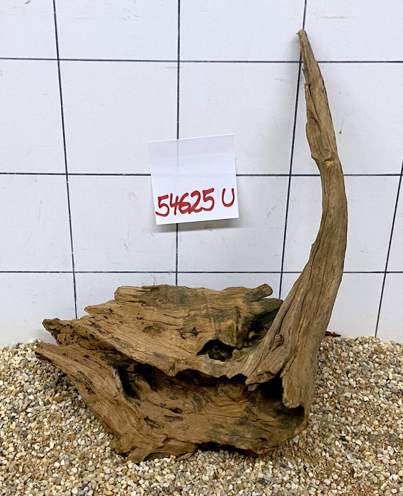 NEU - 54625U - Ubatuba Wurzel Holz