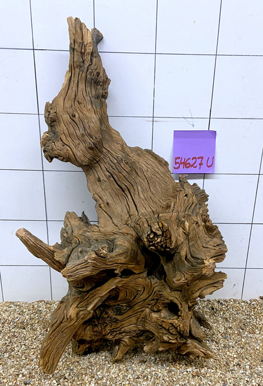 NEU - 54627U - Ubatuba Wurzel Holz