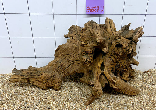 NEU - 54627U - Ubatuba Wurzel Holz