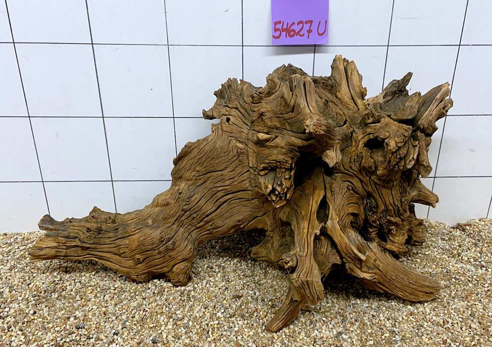 NEU - 54627U - Ubatuba Wurzel Holz