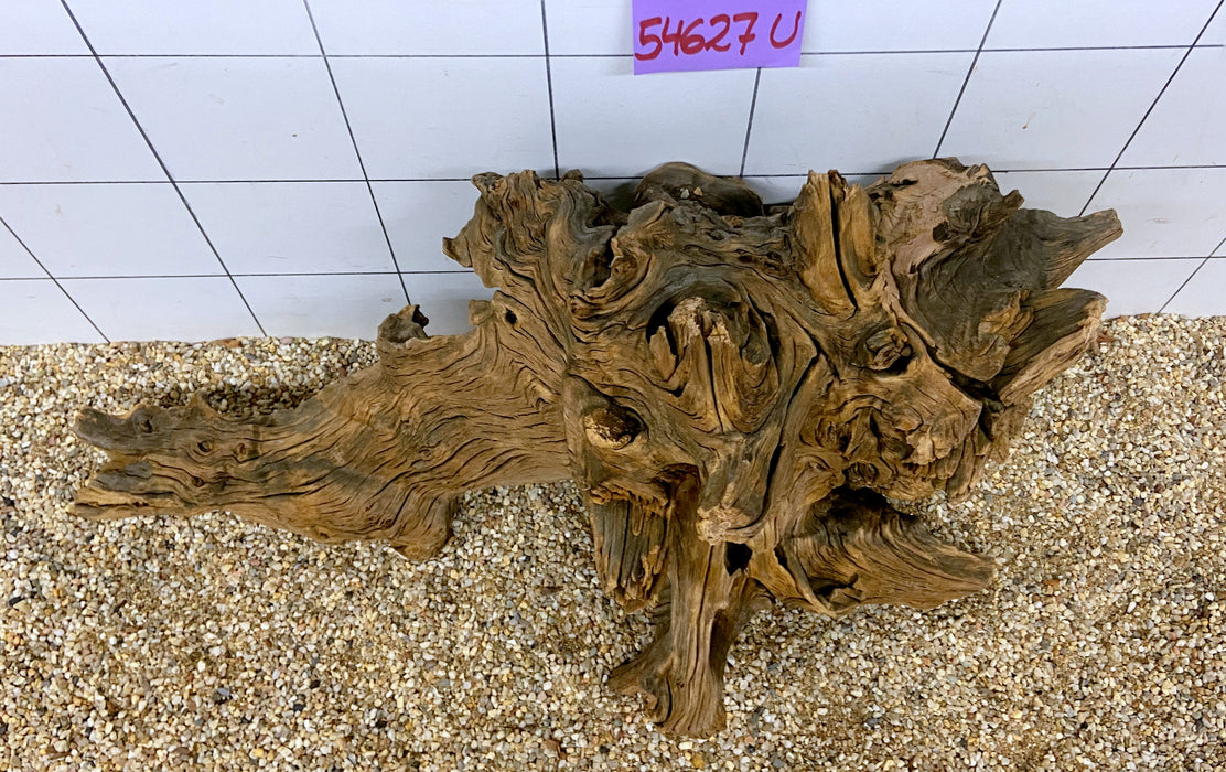 NEU - 54627U - Ubatuba Wurzel Holz