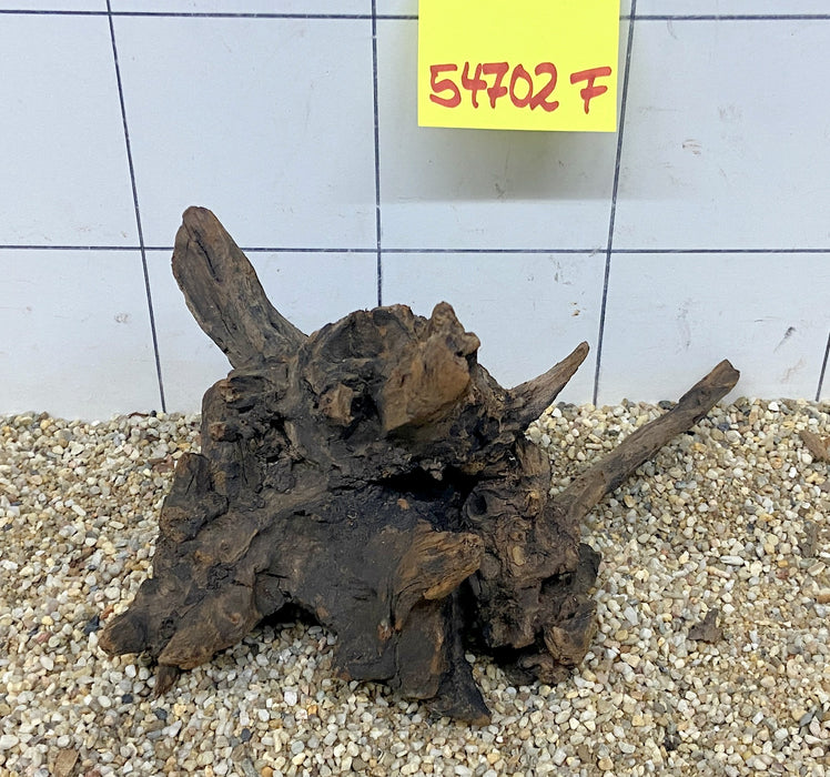 54702F Flussholz / Driftwood
