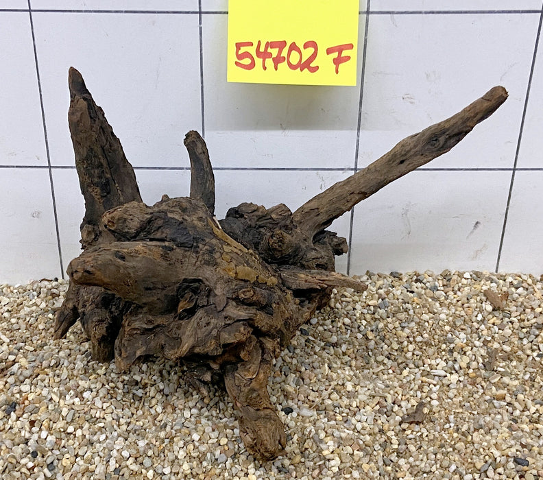 54702F Flussholz / Driftwood