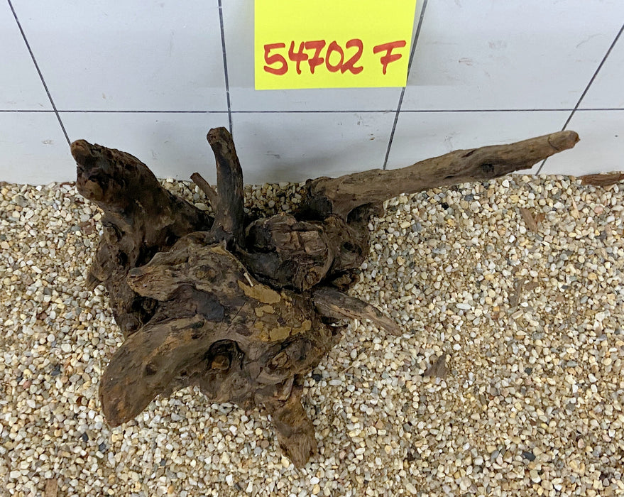 54702F Flussholz / Driftwood