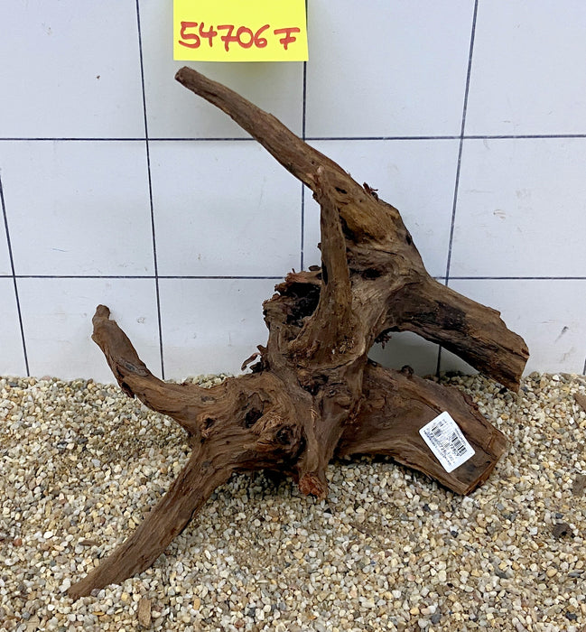 54706F Flussholz / Driftwood