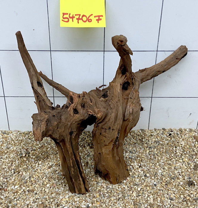 54706F Flussholz / Driftwood