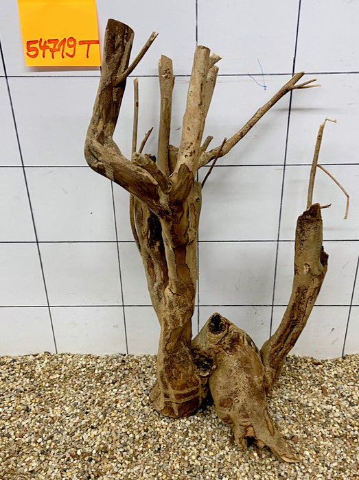 54719T Talawa Wurzel Holz