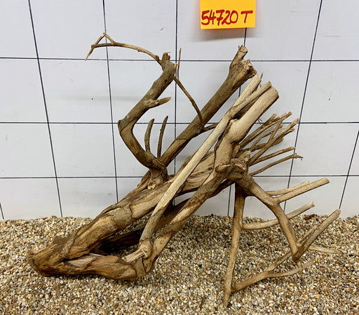 54720T Talawa Wurzel Holz