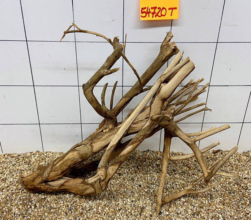 54720T Talawa Wurzel Holz