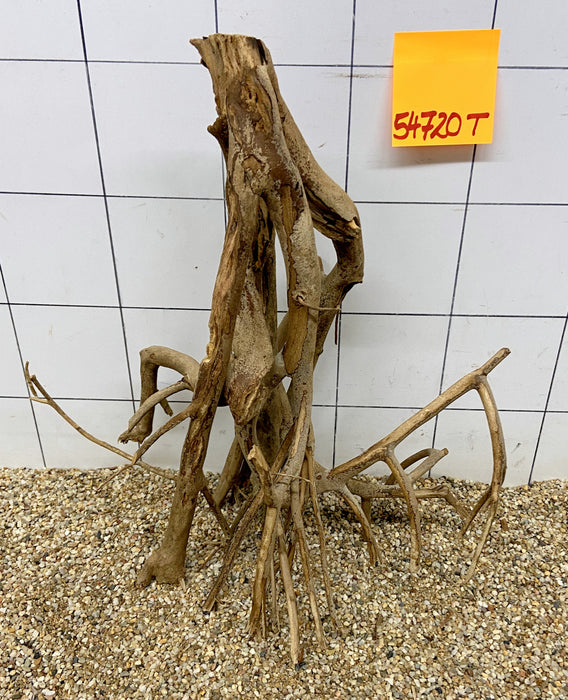 54720T Talawa Wurzel Holz