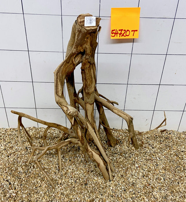 54720T Talawa Wurzel Holz